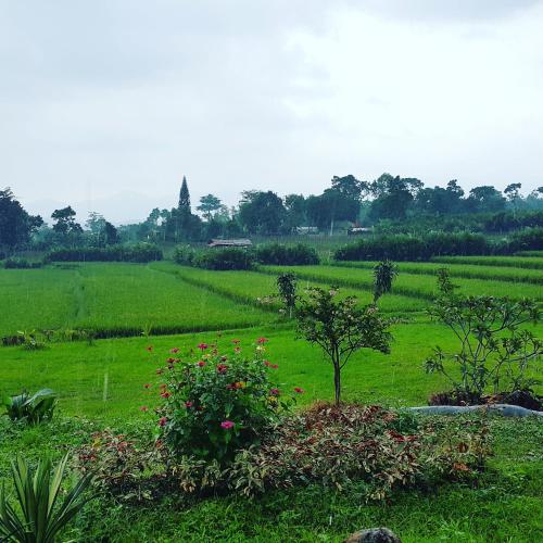 Фотография гостиницы Degung Hillside