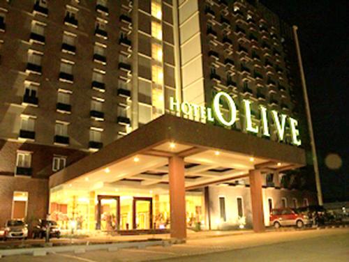 Фотография гостиницы Hotel Olive