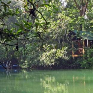 Фотографии гостиницы 
            Campamento Rio Lacanja