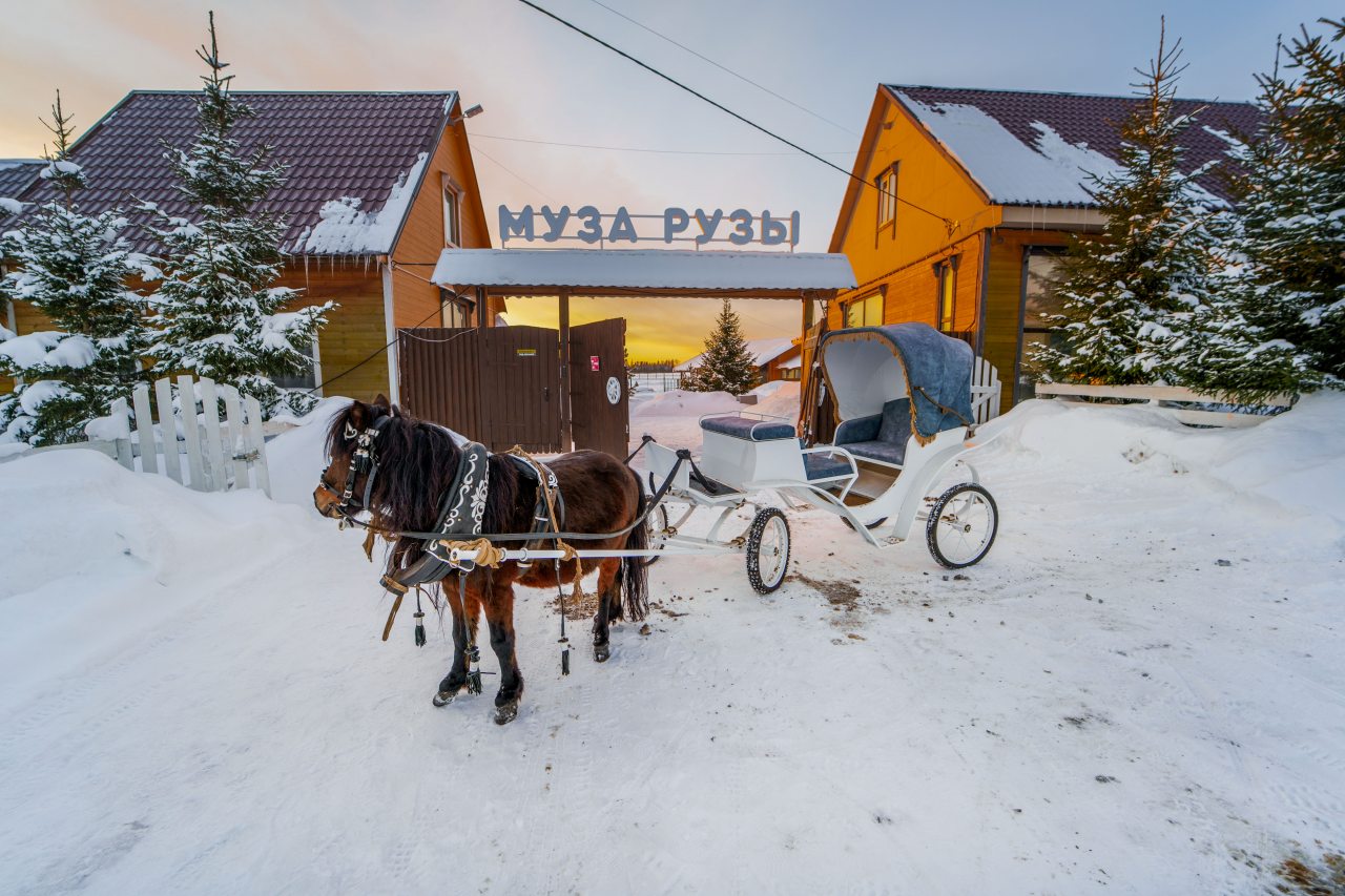 Фотография гостиницы Парк-Отель Муза Рузы