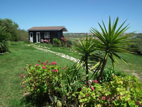 Фотография гостевого дома Da Silva Surfcamp - Tiny House Jorgina