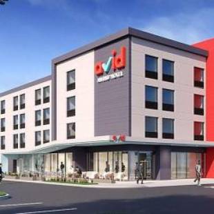 Фотографии гостиницы 
            Avid hotels - Beaumont, an IHG Hotel