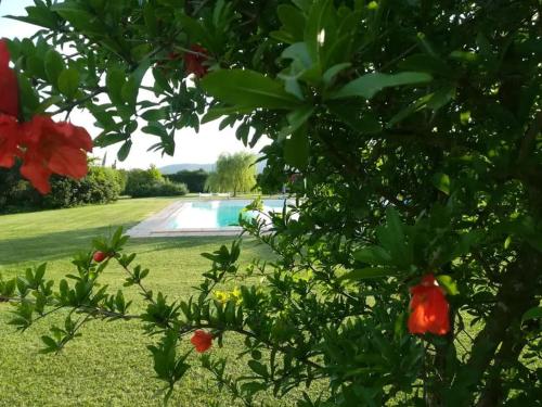 Фотографии гостевого дома 
            "IL CASALE DEI GIRASOLI" Country House in Capalbio