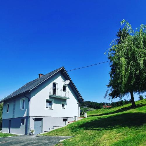 Фотографии гостевого дома 
            Ferienhaus Treissmann an der Weinstraße