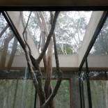 Фотография мини отеля El Encanto Villas - Ecofriendly 20 min away from Chichén-Itzá