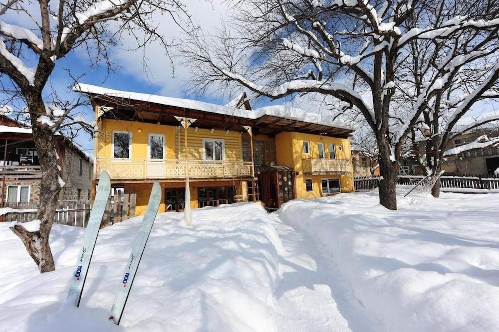 Фотография Коттеджа Отель ArtVilla Bakuriani