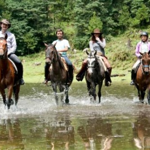 Фотография гостиницы Rancho El Reencuentro Eco-Hotel