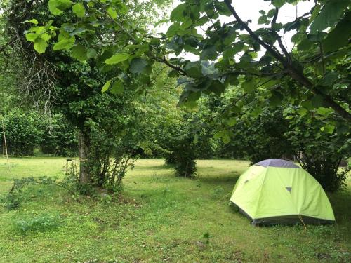 Фотография кемпинга Dumbo