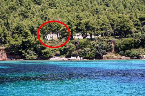 Фотография гостевого дома Apartments by the sea Zuljana, Peljesac - 10233