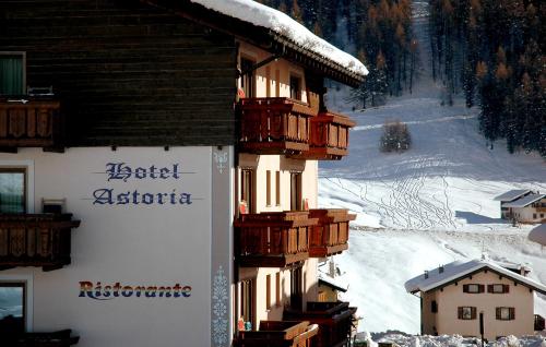 Фотографии гостиницы 
            Hotel Astoria