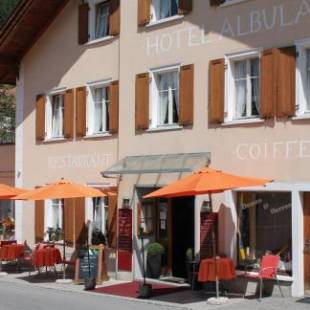 Фотографии гостиницы 
            Hotel Albula