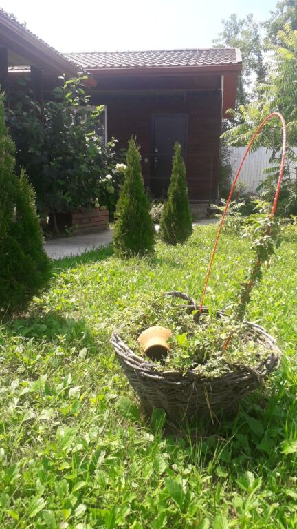 Фотография Коттеджа Частный дом Feel House