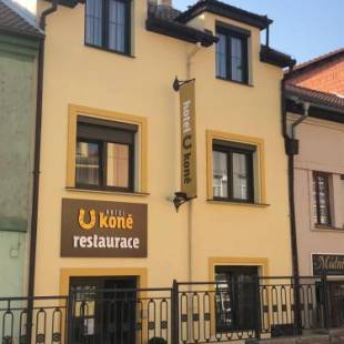 Фотографии гостиницы 
            Hotel U koně