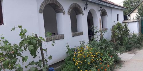 Фотография гостевого дома EVA HOUSE