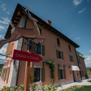 Фотография гостевого дома Casale in Collina