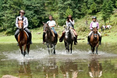 Фотографии гостиницы 
            Rancho El Reencuentro Eco-Hotel