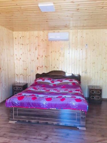 Фотография гостевого дома hotel babi