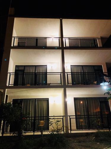 Фотография гостиницы Borjomi Central