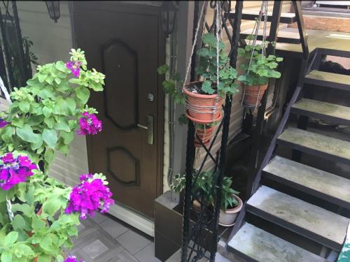 Фотография мини отеля В старом Центре Сочи