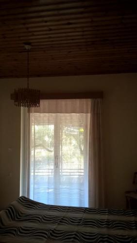 Фотография гостевого дома Helen's house