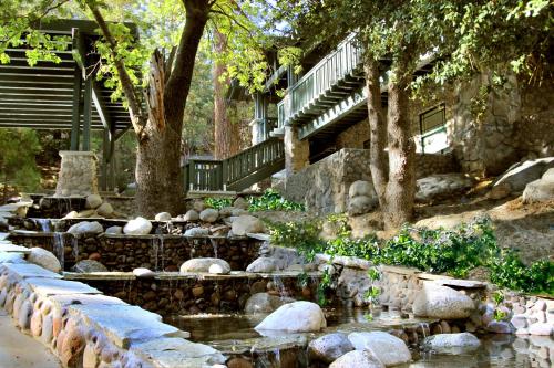 Фотографии мини отеля 
            The Grand Idyllwild Lodge