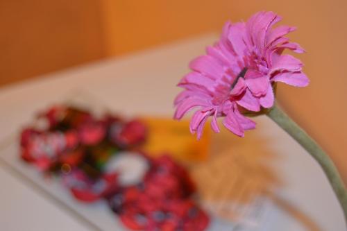 Фотография гостевого дома Hosteria Tajahierro