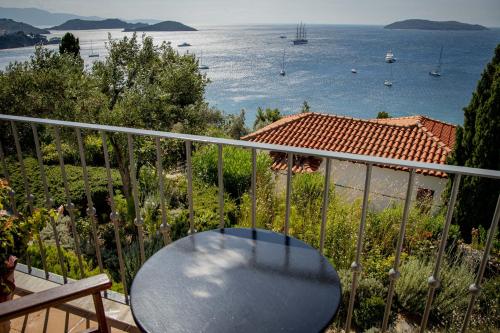 Фотография гостевого дома Villa Athena