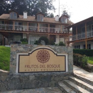 Фотография гостиницы Hotel Frutos del Bosque