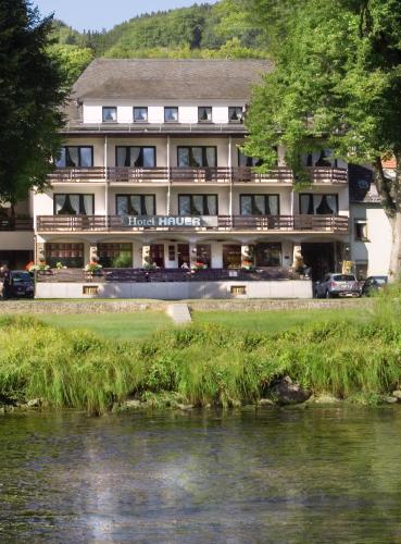 Фотография гостиницы Hotel Hauer