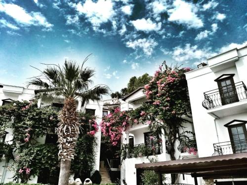 Фотография гостиницы Mare Garden Hotel