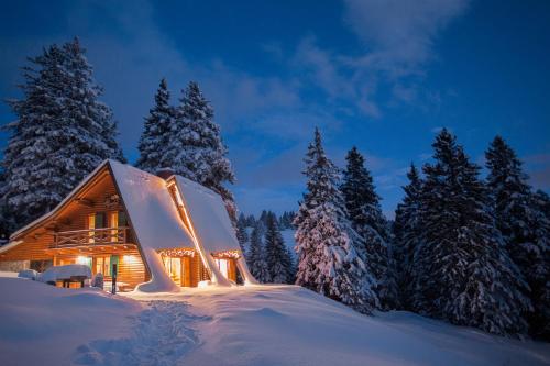 Фотографии гостевого дома 
            Chalet Alpinka