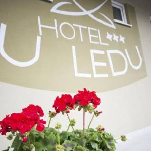 Фотографии гостиницы 
            Hotel u Ledu