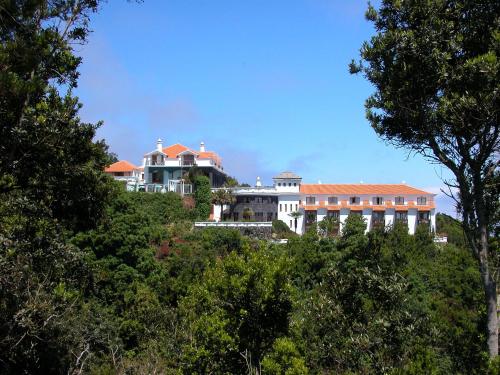 Фотография гостиницы Hotel La Palma Romántica
