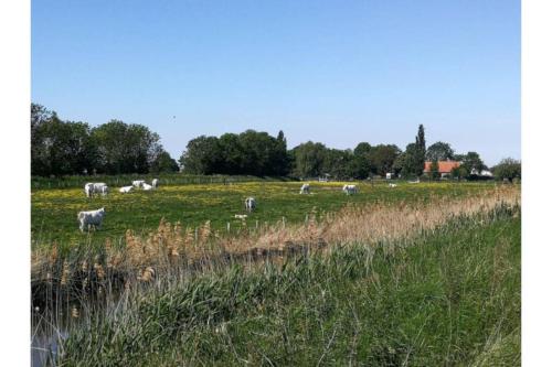 Фотография гостевого дома Woonboerderij Scherpbier