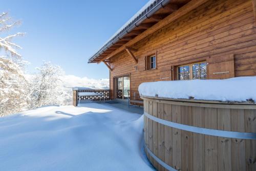 Фотографии гостевого дома 
            Chalet Nid Blanc