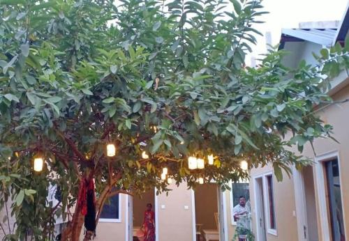 Фотография гостиницы The Art Hotel by VIA VARANASI