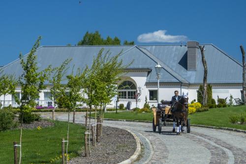 Фотография гостиницы Hotel Kiston