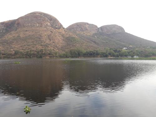 Фотография мини отеля The Shore House