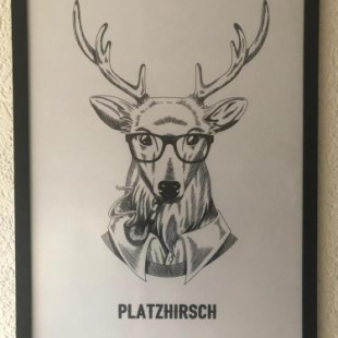 Фотография гостевого дома Pension Platzhirsch