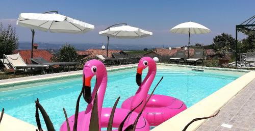 Фотография мини отеля Domus Langhe B&B