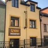 Фотография гостиницы Hotel U koně