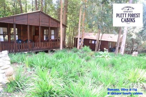 Фотографии мини отеля 
            Plett Forest Cabins