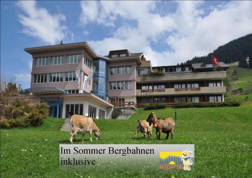 Фотография гостиницы Ferien- und Familienhotel Alpina Adelboden