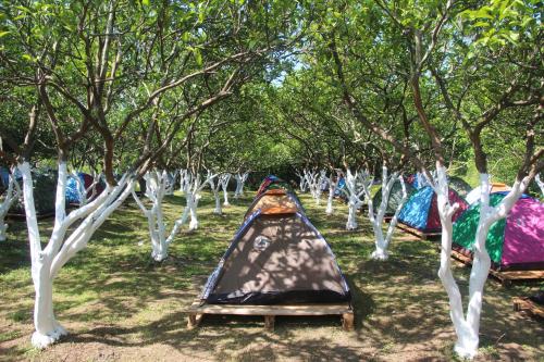 Фотографии базы отдыха 
            Citrus Tent City