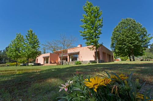 Фотография гостевого дома Raizes e Particulas