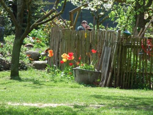 Фотография гостевого дома Landhof zur Meierei