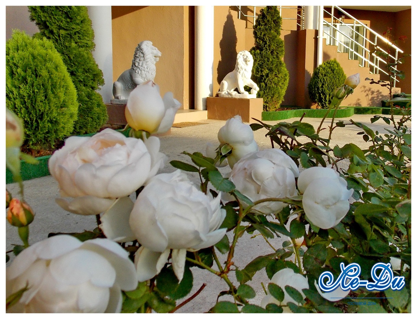 Фотография гостевого дома Ле-Ди