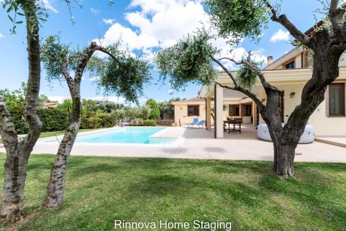 Фотография мини отеля B&B MALU 'ENTU