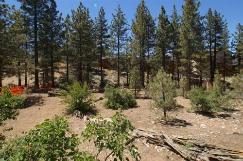 Фотографии гостевого дома 
            Cardinal Ridge by Big Bear Cool Cabins