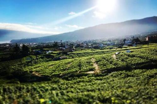 Фотографии гостевого дома 
            CASA RURAL EL LAGAR TENERIFE